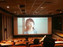 -华美国际影城(旧宫永辉店)