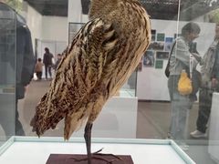 -陕西自然博物馆