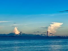 -大湾区中央湿地公园-十九涌