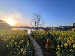 -天目湖山水园