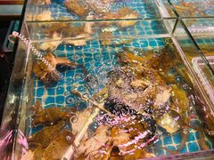 -领鲜活海鲜榴莲自助火锅(东门店)