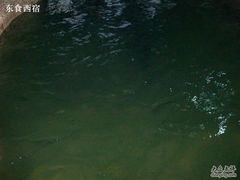 Picture 105-绿色时代大酒店