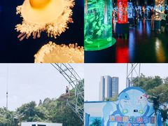 -深圳野生动物园