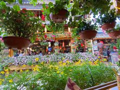 -民食香·腊排骨野生菌美食(木府店)