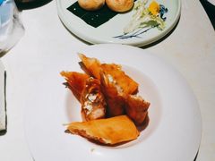 -点都德·毕德寮