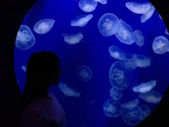 -成都浩海立方海洋公园