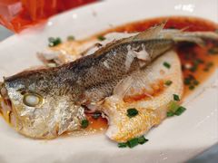 -舌尖上·霞浦滩涂海鲜·新闽菜(总店)