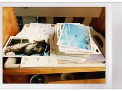 -Anne猫窝咖啡屋