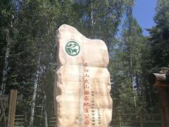 -峡谷浮石林景区