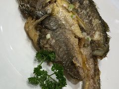 煎日黄花-稻香酒家(天河城店)