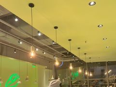 -油梨树AVOCADO TREE(望京店)
