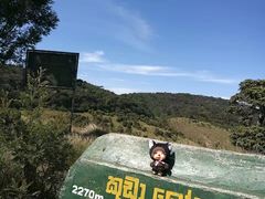-霍顿平原国家公园