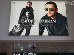 -米兰马尔彭萨国际机场