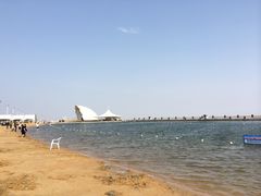 -碧海金沙