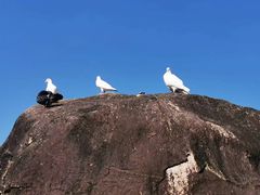 -三亚南山文化旅游区