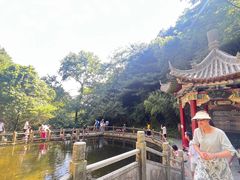 -王顺山国家森林公园