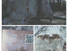 -天津水上公园