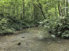 -桤木河湿地公园