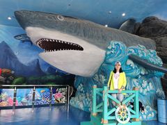 -多彩贵州城极地海洋世界