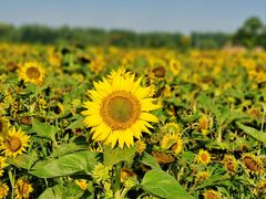 -汉长安城未央宫国家考古遗址公园