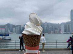 -富豪雪糕车流动点(尖沙咀店)