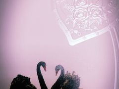 -BLACKSWAN黑天鹅(环球店)