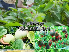 -光明小镇欢乐田园