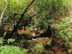 -阳台山森林公园