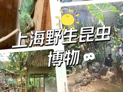 -上海大自然野生昆虫馆