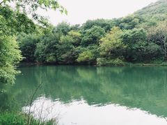 -白马涧龙池景区