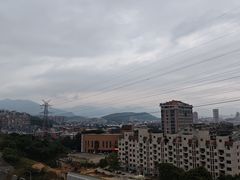 -福道