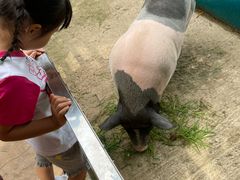 -北戴河集发农业梦想王国