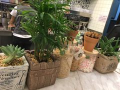 -恋暖初茶(万菱汇店)