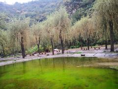 -沕沕水生态风景区