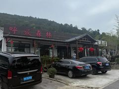 -呼吸森林·生态农庄农家乐私房菜