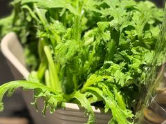 -额尔敦传统涮(公园西路店)