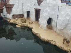 -秦皇岛乐岛海洋王国