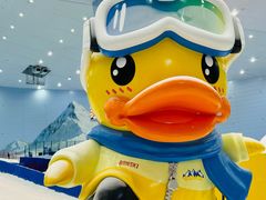 -奈雪的茶(广州万菱汇PRO店)