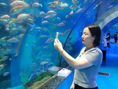 -泉城欧乐堡海洋极地世界