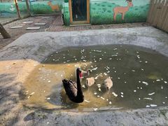-常州淹城野生动物世界