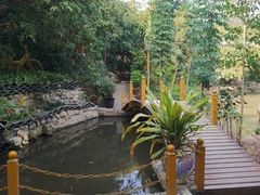 -晓雯人家