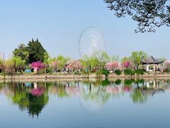 -无锡蠡湖国家湿地公园-蠡园