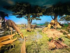 -国家自然博物馆