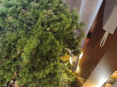 -小天厨民间菜馆(深圳街店)
