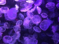 -多彩贵州城极地海洋世界