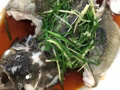 老虎斑-蚝专家(北滘店)