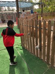 -萌宠亲子动物乐园(槐房万达店)