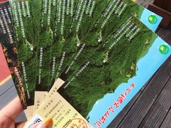 -五女峰国家森林公园