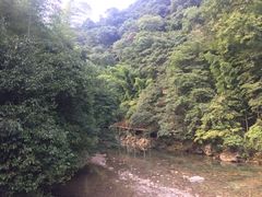 -祁门牯牛降观音堂风景区