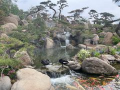 -罗红摄影艺术馆